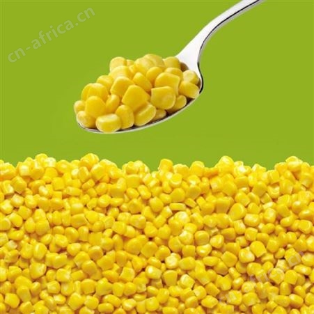 日照绿拓食品速冻玉米 速冻蔬菜厂家
