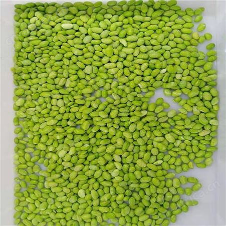 出售速冻毛豆仁 速冻果蔬食品加工绿拓食品