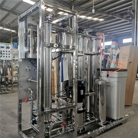 哈尔滨0.5吨1吨2吨双级反渗透设备 二级反渗透水处理设备