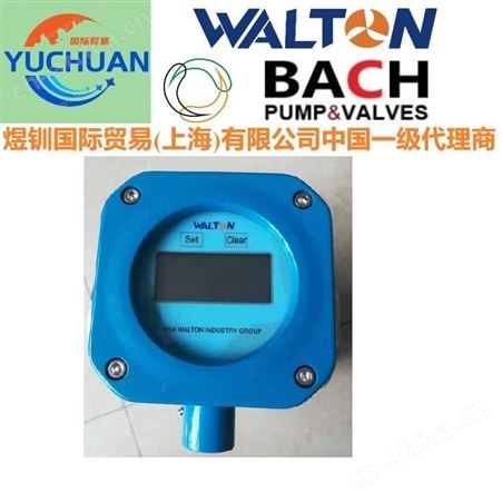 美国Texas得州进口电磁流量计- 进口智能电磁流量计，Electromagnetic Flowmeters