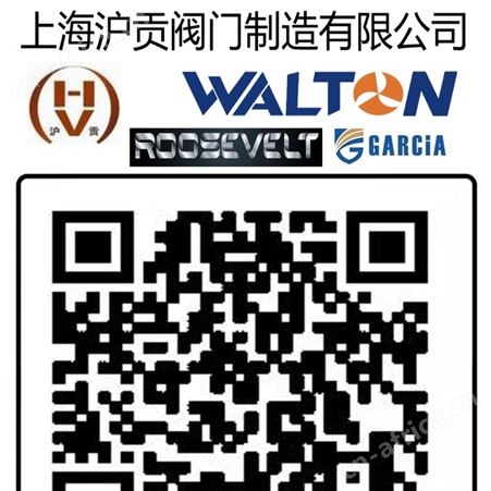 进口带接管呼出阀，进口呼出阀，进口储罐呼出阀-德国BACH巴赫