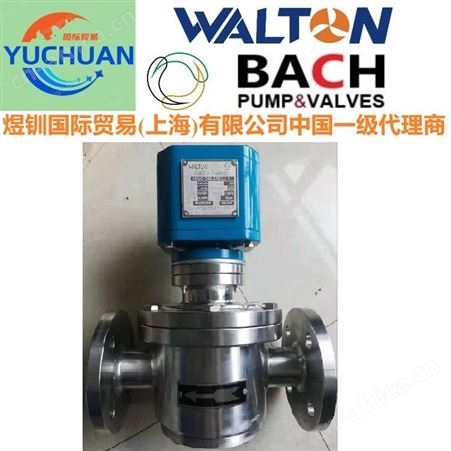 美国Texas得州进口电磁流量计- 进口智能电磁流量计，Electromagnetic Flowmeters