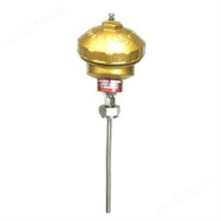 WRN-133装配式热电偶