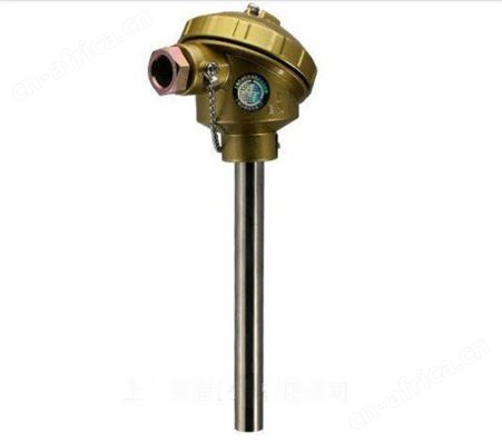 WRR-120装配式热电偶