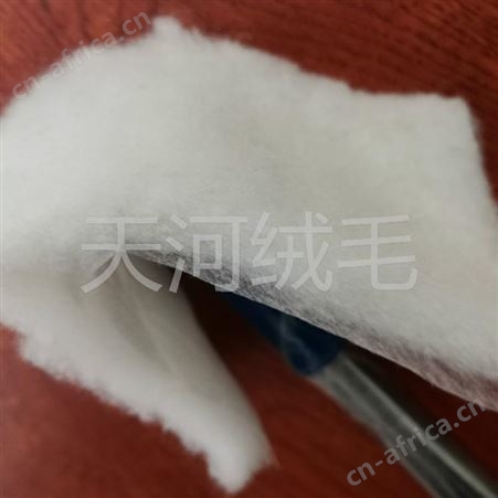 大连羊绒棉子出厂价