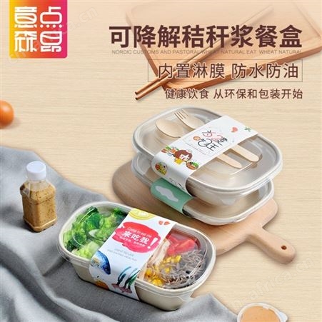 高档环保可降解饭盒一次性纸浆盒外卖快餐盒分格沙拉打包盒子500套山东生产厂家 意点森昂