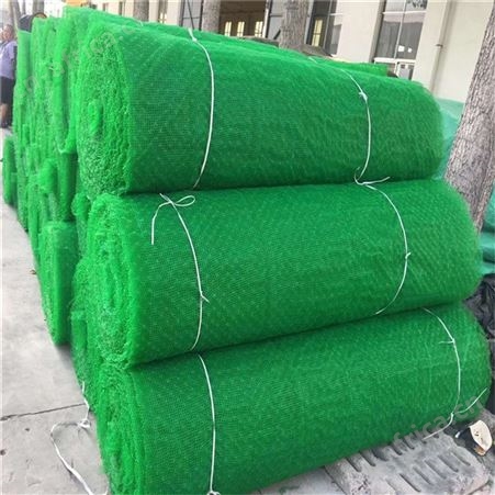 三维植被网边坡防护 支持定制加筋做拉伸绿化用土工网垫