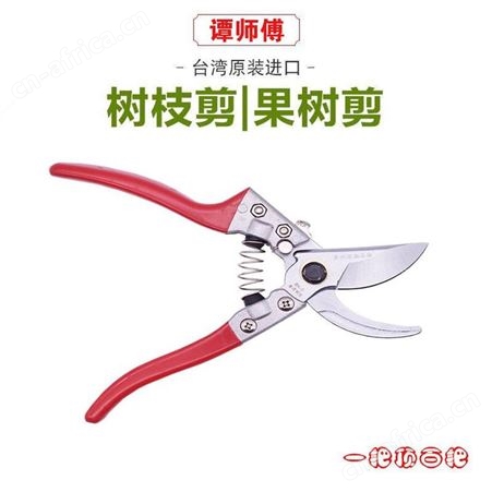 谭师傅杨家地枝剪云南昆明园林剪果树修枝剪园艺修花树枝省力