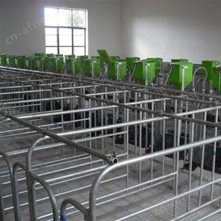 定位栏 价格合理 母猪定位栏  猪舍定位栏 规格多样