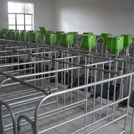 现货批发 限位栏 猪用定位栏 热镀锌限位栏 鸿元通用机械制造
