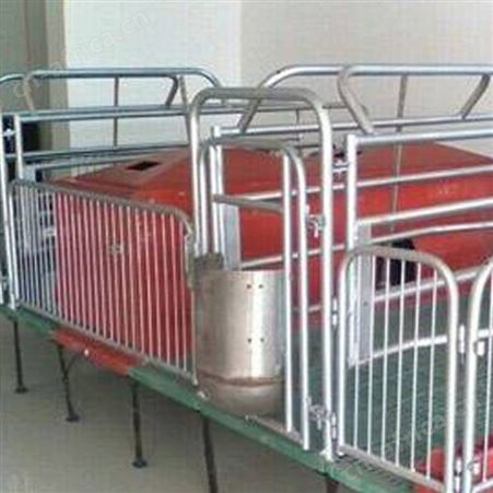 批量供应 猪用产保一体产床 双体位母猪产床 鸿元出售 复合母猪产床