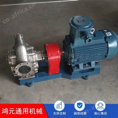 种类繁多 CHY-18齿轮油泵 型号多样 CB型高粘度齿轮泵 不锈钢齿轮泵