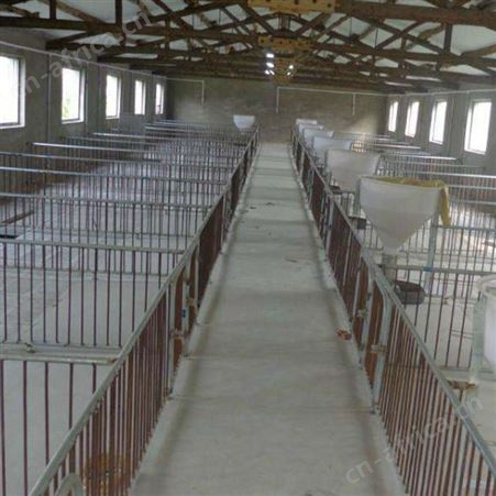 大量供应 复合板保育床 设计生产 仔猪用保育床 猪仔保育床