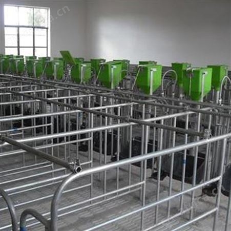 带食槽养猪定位栏 定制供应 产床限位栏  母猪热浸锌定位栏  现货批发