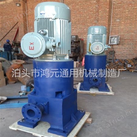 供应 石油库用倒罐泵 定做立式滑片泵 40立方 60立方的HGB立式防爆滑片泵