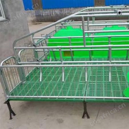 全复合双体母猪产床 规格多样 养猪设备 价格称心 猪用产床