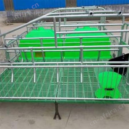 批量供应 加厚双体母猪产床 产床 母猪复合板产床 支持定制