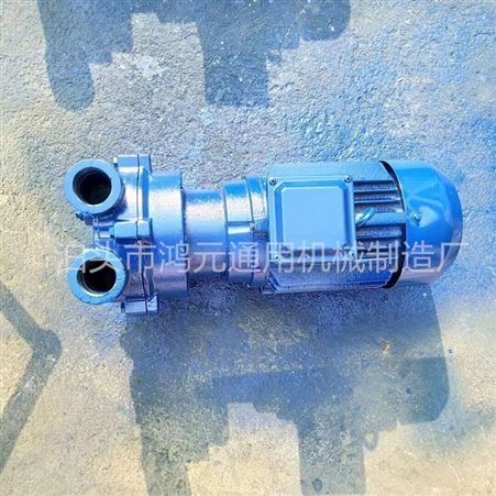2BV2061水环式真空泵 吉林水环式真空泵 不锈钢真空泵厂家