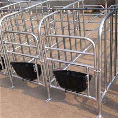全复合双体母猪产床 规格多样 养猪设备 价格称心 猪用产床