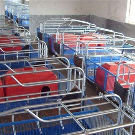 批量供应 猪用产保一体产床 双体位母猪产床 鸿元出售 复合母猪产床