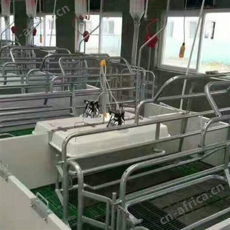 批量供应 猪用产保一体产床 双体位母猪产床 鸿元出售 复合母猪产床