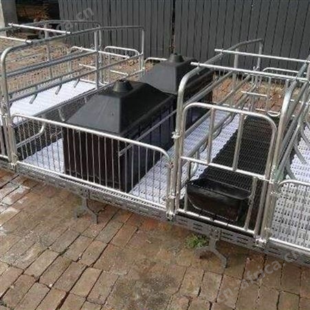 供应 猪场刮粪机 复合板母猪产床 热镀锌公猪限位栏 母猪生产厂家