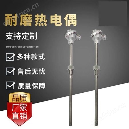 WZP2-131-FWZP2-131-F 双支防腐耐腐型热电阻pt100铂电阻 无锡锐文