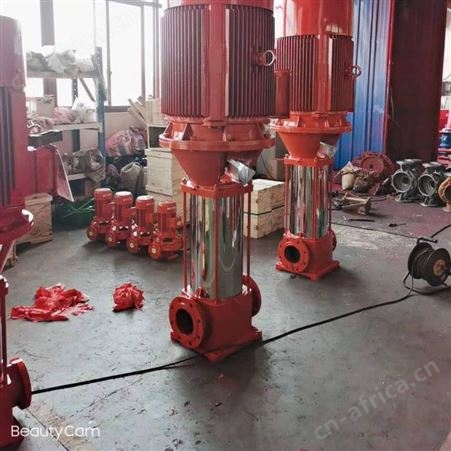 3CF认证 XBD19.0/30G-GDL 110KW 上海江洋 消火栓泵 喷淋泵 消防水泵 铸铁