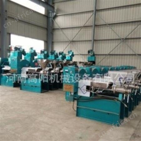 100全自动多功能螺旋榨油机 环保不锈钢榨油机 小型商用菜籽油榨油机   高阳厂家