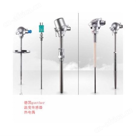 gunther热电偶 gunther温度传感器 gunther玻璃温度热电偶 gunther工业炉用热电偶