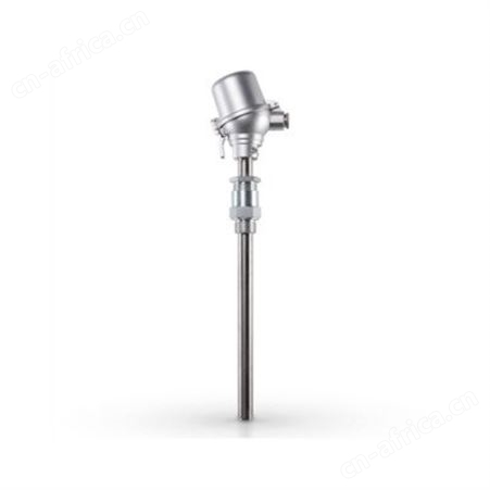 gunther热电偶 gunther温度传感器 gunther玻璃温度热电偶 gunther工业炉用热电偶