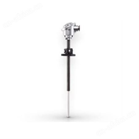 gunther热电偶 gunther温度传感器 gunther玻璃温度热电偶 gunther工业炉用热电偶