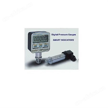 NTT称重传感器  NTT称重仪表 NTT换能器 NTT电线传感器