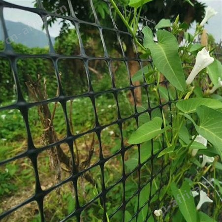 土工格栅厂家 玻纤土工格栅 塑料双向土工格栅 河北戈慕莱