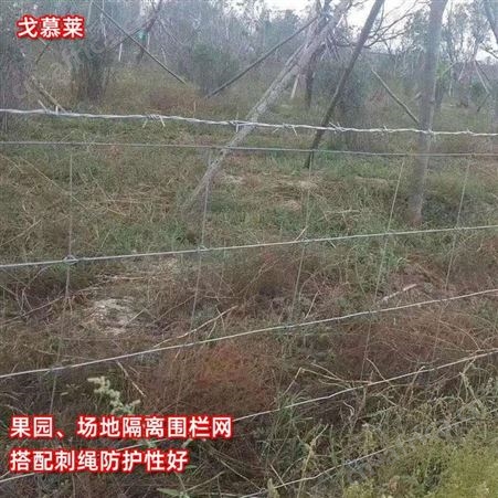 热镀锌牛栏网 牛马养殖防护钢丝网 出口鹿网 现货速发 产地直销 戈慕莱