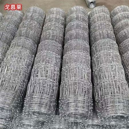 钢丝牛栏网 畜牧业养殖围网 山地隔离防护网 Y型柱打结网 广州厂家批发 戈慕莱