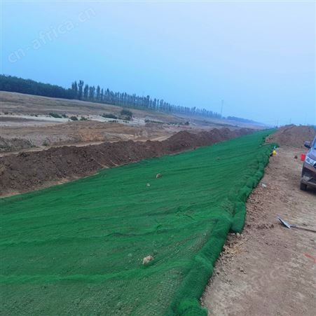 铁丝加筋三维植被网 河道整改植草三维网_免费寄样