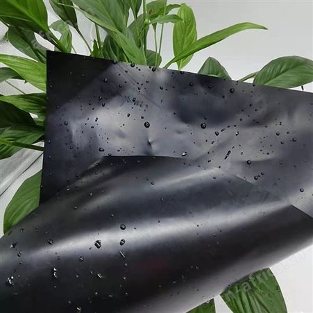 EVA防水板 2.0mm高密度聚乙烯土工膜_耐腐蚀寿命长
