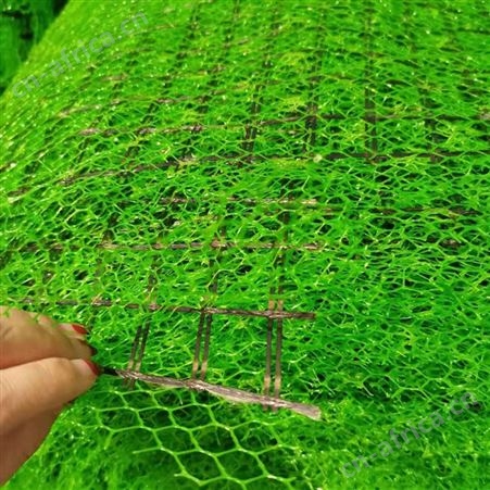 铁丝加筋三维植被网 河道整改植草三维网_免费寄样