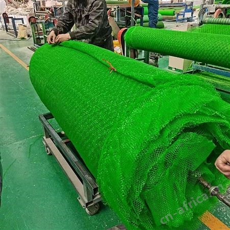 铁丝加筋三维植被网 河道整改植草三维网_免费寄样