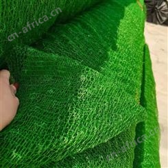 绿色三维网垫保护层 护坡加筋三维植被网_路堤保护抗冲刷