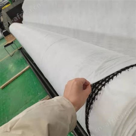 高强度三维复合排水网 6.3毫米渗排水网_包运输