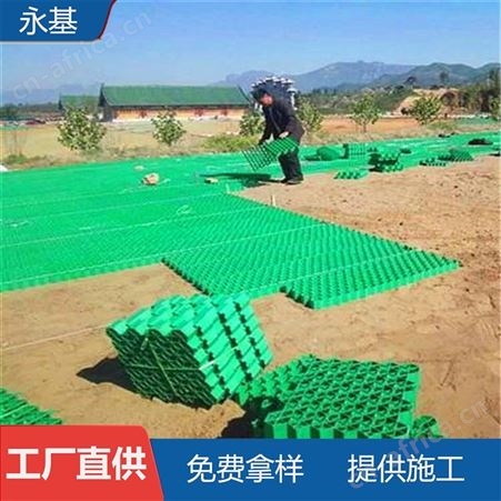 4公分 5公分平口植草格 永基牌聚乙烯植草网格 货源充足