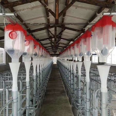 养殖自动化料线料养猪用料塔赛盘料线养猪场设备绞龙料线厂家