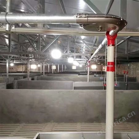 养殖自动化料线料养猪用料塔赛盘料线养猪场设备绞龙料线厂家