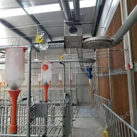 养殖场自动料线赛盘料线 华清 大型猪场自动喂料设备 质优价廉