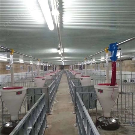 养殖自动化料线料养猪用料塔赛盘料线养猪场设备绞龙料线厂家
