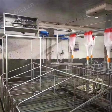 槽猪用 自动下料槽 育肥猪料槽 大猪食槽 保育猪料槽 华清