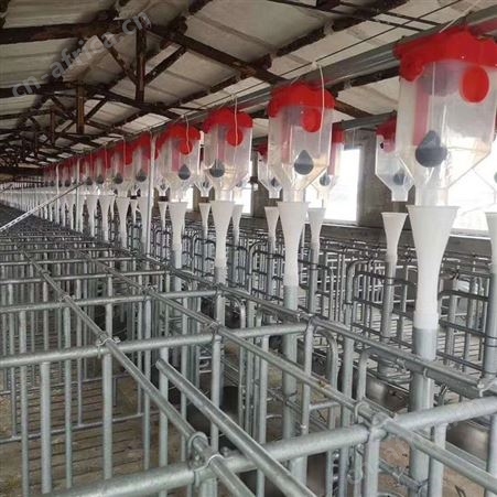 畜牧养殖料线定量杯自动喂料系统配件母猪定量桶猪舍自动存料器