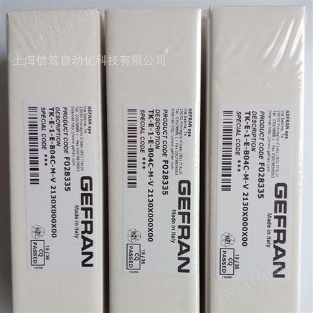 意大利GEFRAN杰佛伦压力传感器TK-E-1-E-B04C-M-V变送器F028335